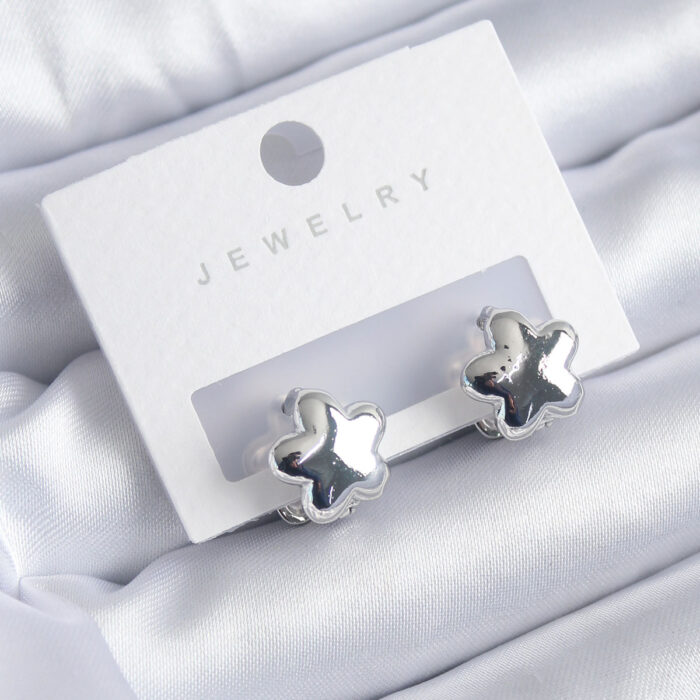 Gümüş Renk Yıldız Model Yıldız Model Pirinç Kadın Küpe