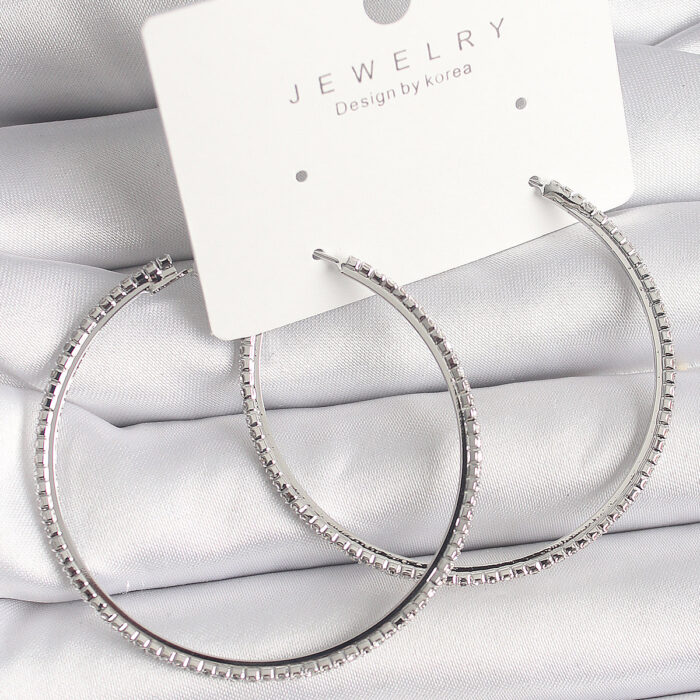 Pirinç Gümüş Renk Zirkon Taşlı Halka Model Kadın Küpe