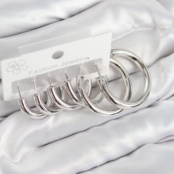 Pirinç Halka Model Gümüş Renk Kadın Set Küpe